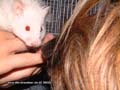 freundschaft2